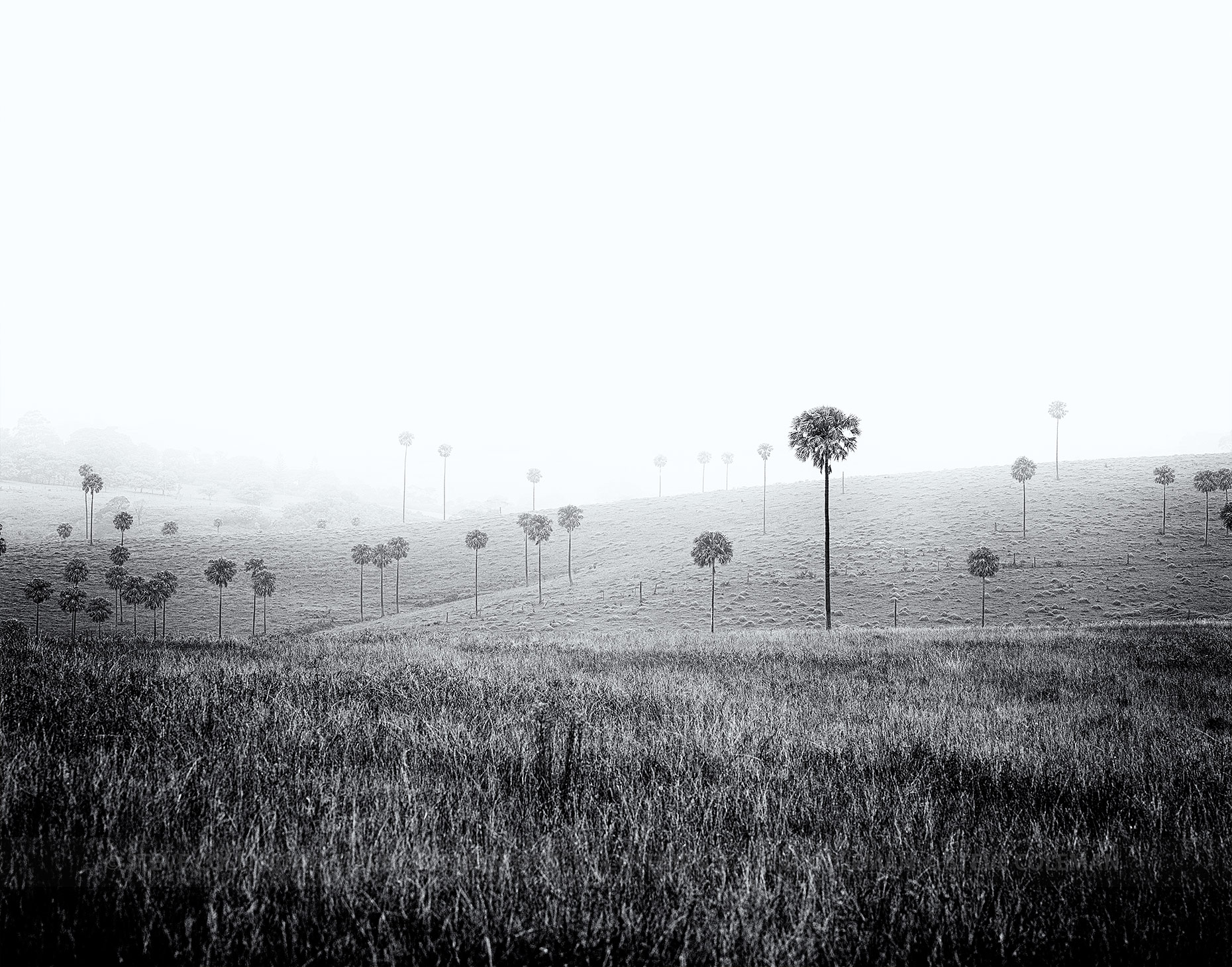 Kiama, Australian Landscape Photography.