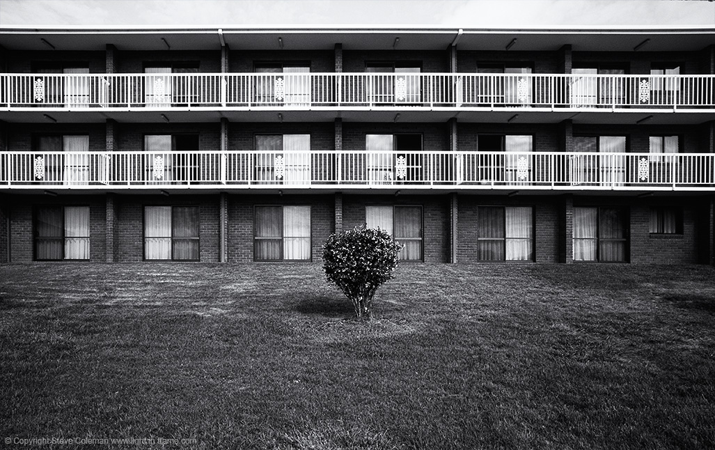 Tree Hotel, 2017